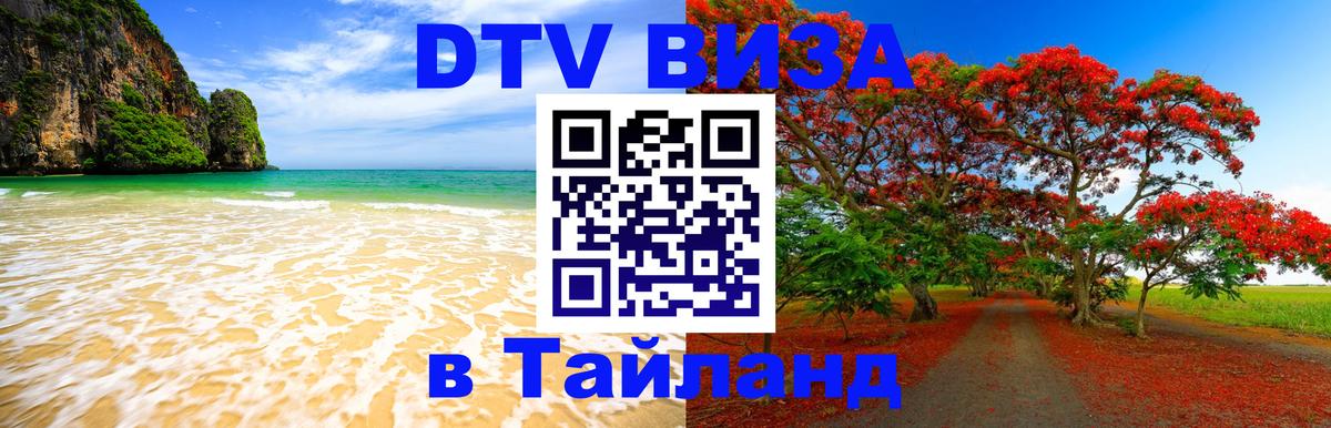 Оформление DTV визы под ключ: стоимость и тарифы, только загранпаспорт - Армавир  03.10.2025 